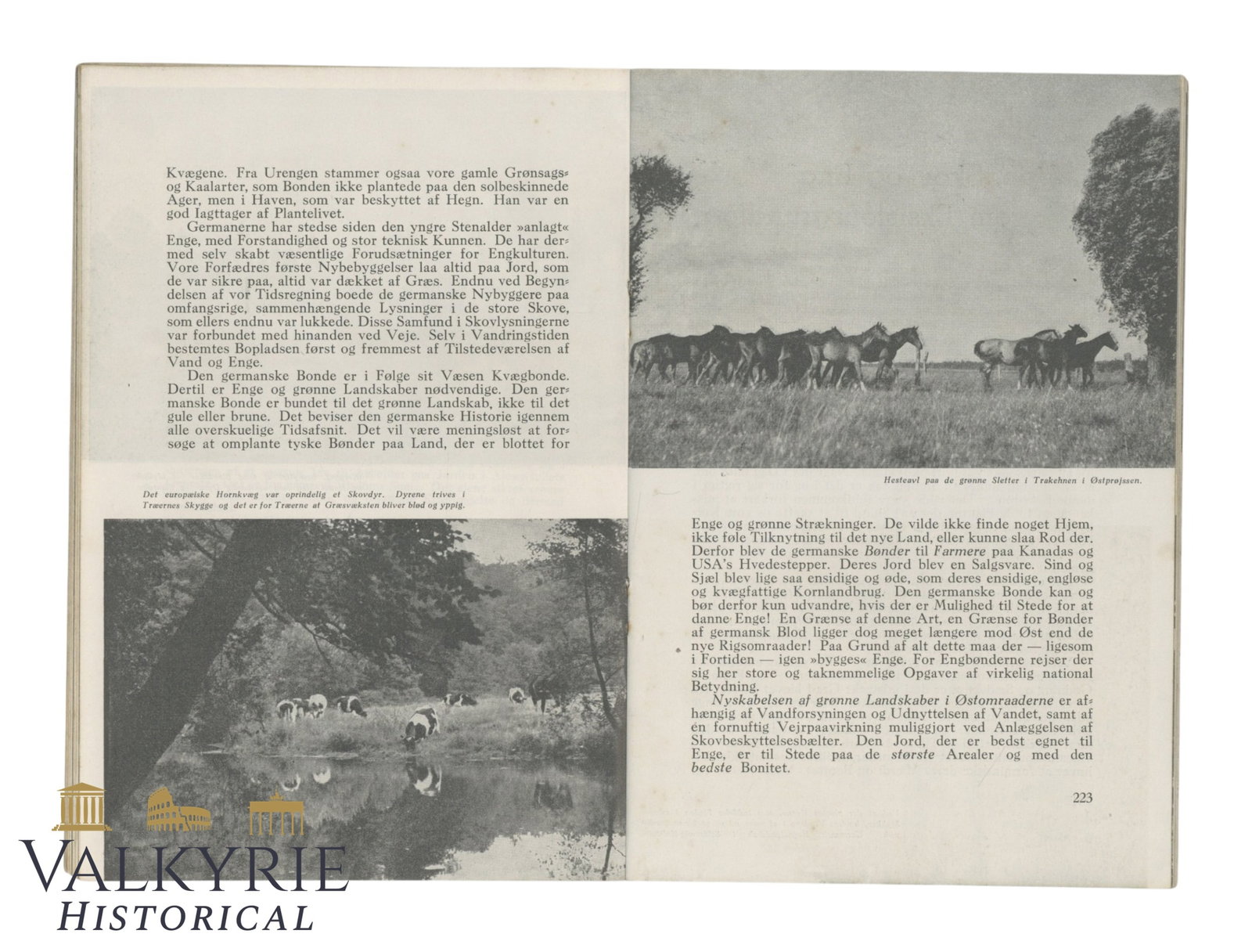 SS Magazine "SS-Germanische Leitheft" - 2th Year - Number 5 - 1942 - 9