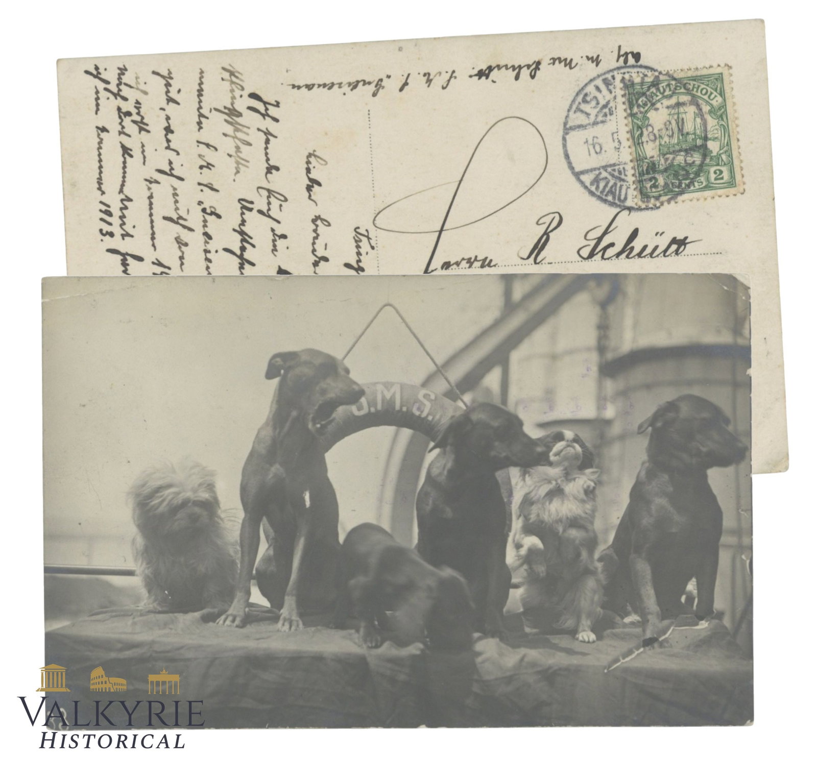 China Tsingtau (Qingdao) Photo Postcards from a German Ship circa 1910 with Dogs. (1 of 3)