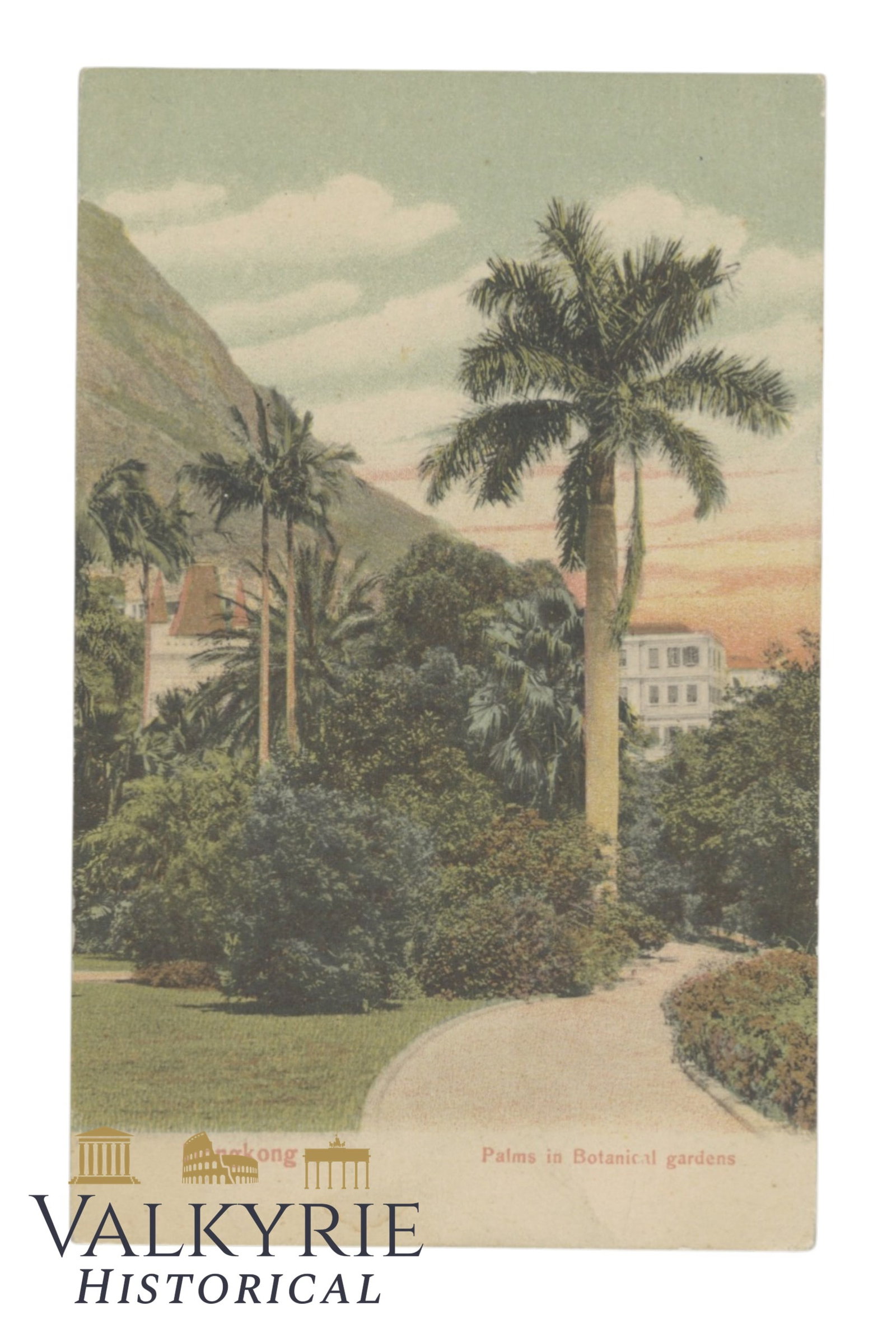 Hong Kong - Palms in Botanical Garden - around 1900.: Hong Kong - Palms in Botanical Garden - around 1900. Sent but missing stamps. Shipping flat cost $25 it doesn't matter how many items you win. you pay just $25 for shipping.