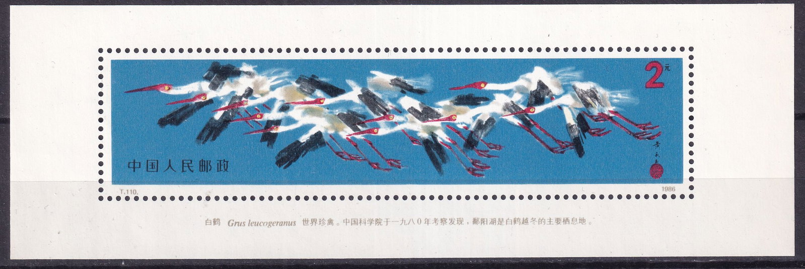 1986 China Nun Crane Mi souvenir sheet 36 **: 1986 China Nun Crane Mi souvenir sheet 36 ** stamps mint never hinged. Shipping flat cost $25 it doesn't matter how many items you win. you pay just $25 for shipping.