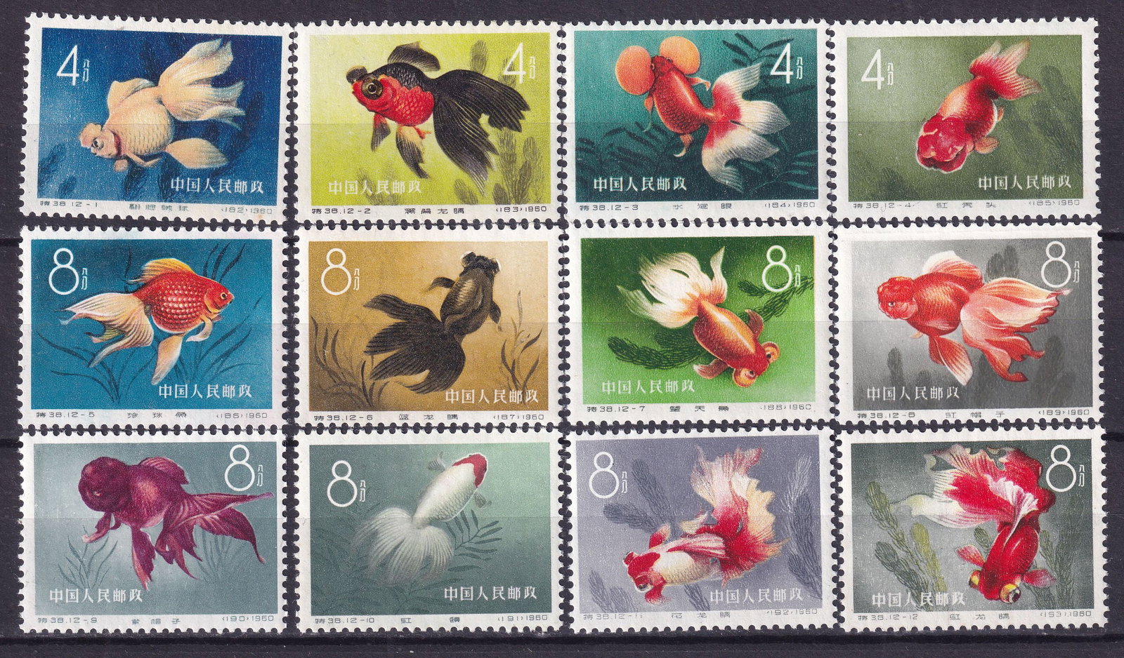 1960 China Breed varieties of goldfish Mi 534-45 **: 1960 China Breed varieties of goldfish Mi 534-45 ** mint never hinged. Shipping flat cost $25 it doesn't matter how many items you win. you pay just $25 for shipping.