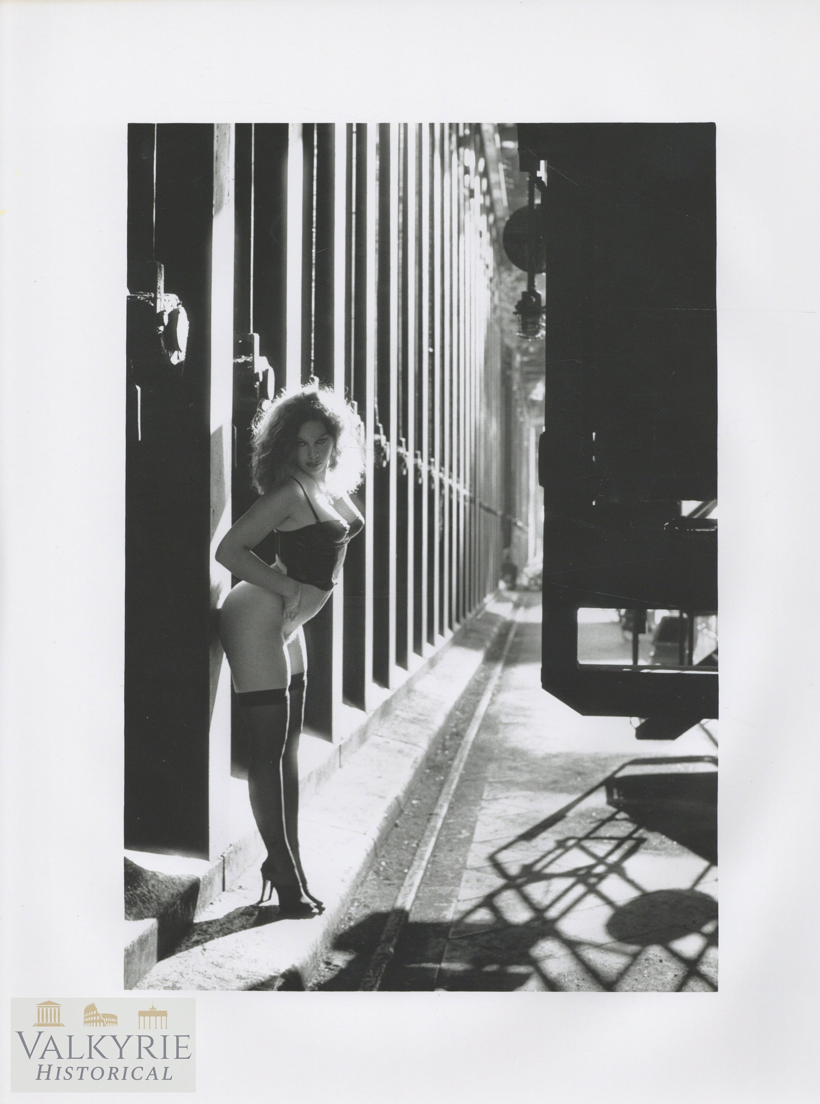 Artistic Photo - Helmut Newton - Female Nudes - Big Format: Artistic Photo - Female Nudes - art style of photography, reminiscent of the work of photographers such as Helmut Newton. Helmut Newton was a German fashion photographer known for his controversial an
