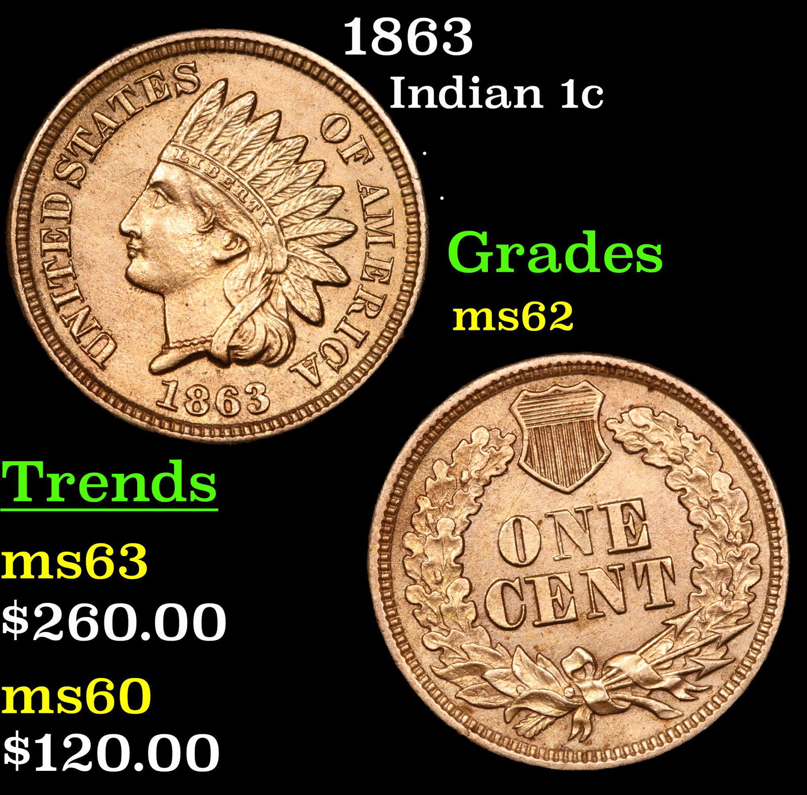 1863 Indian Cent 1c Grades Select Unc (1 of 3)