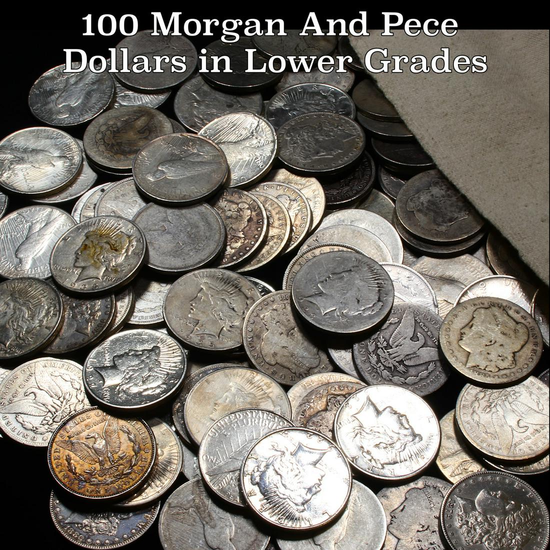 ***Auction Highlight*** 100 Morgan And Pece Dollars in (1 of 1)