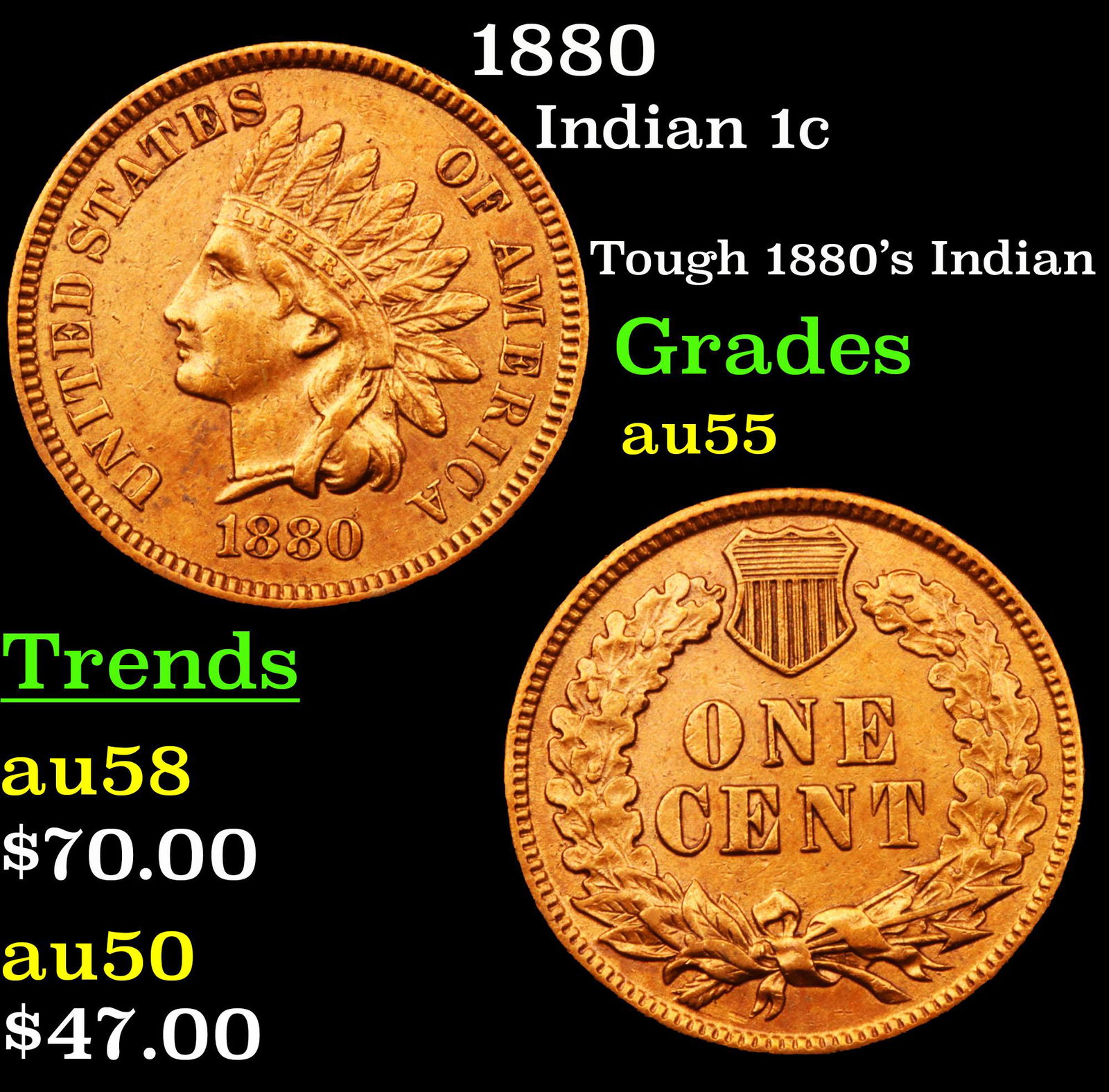 1880 Indian Cent 1c Grades Choice AU (1 of 3)