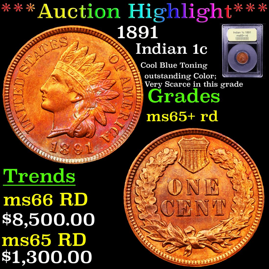 *Highlight* 1891 Indian 1c Graded Gem+ Unc RD (1 of 5)