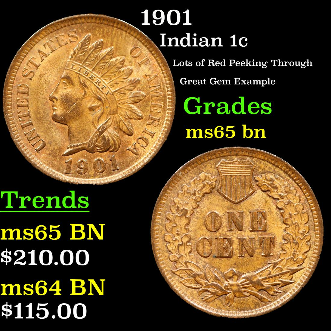 1901 Indian Cent 1c Grades GEM Unc BN (1 of 3)