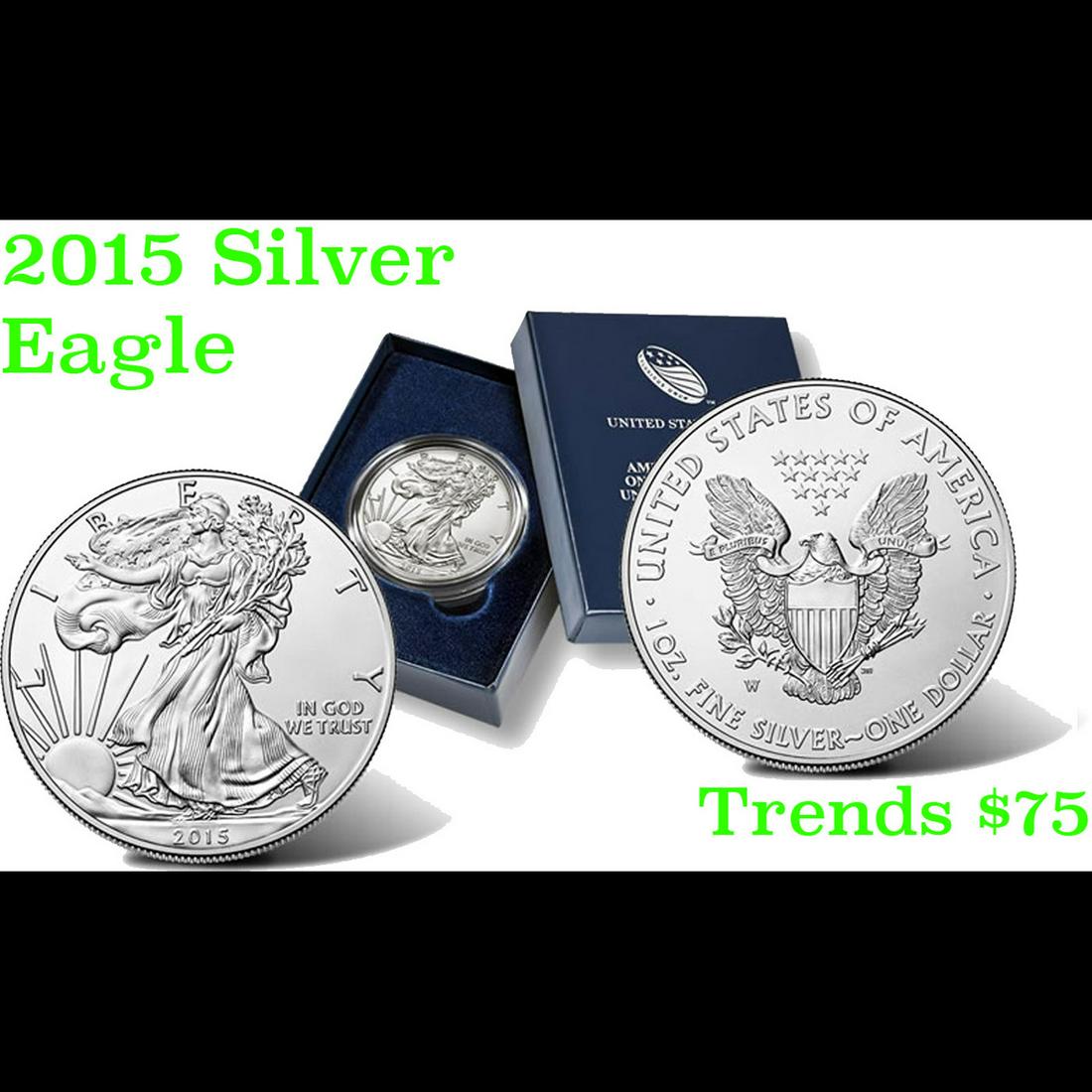 2015 American Eagle One Ounce Uncirculated Coin (1 of 1)