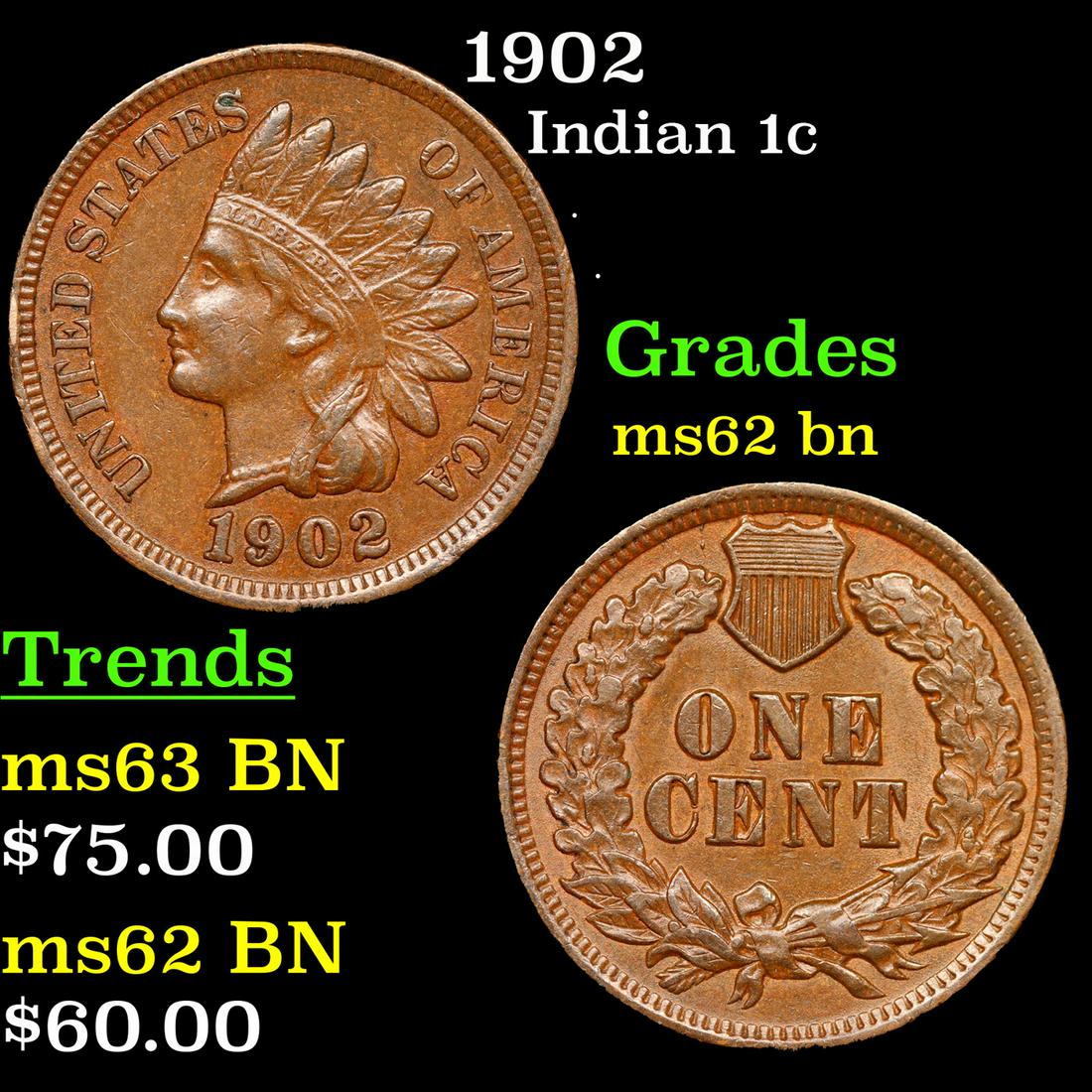 1902 Indian Cent 1c Grades Select Unc BN (1 of 3)