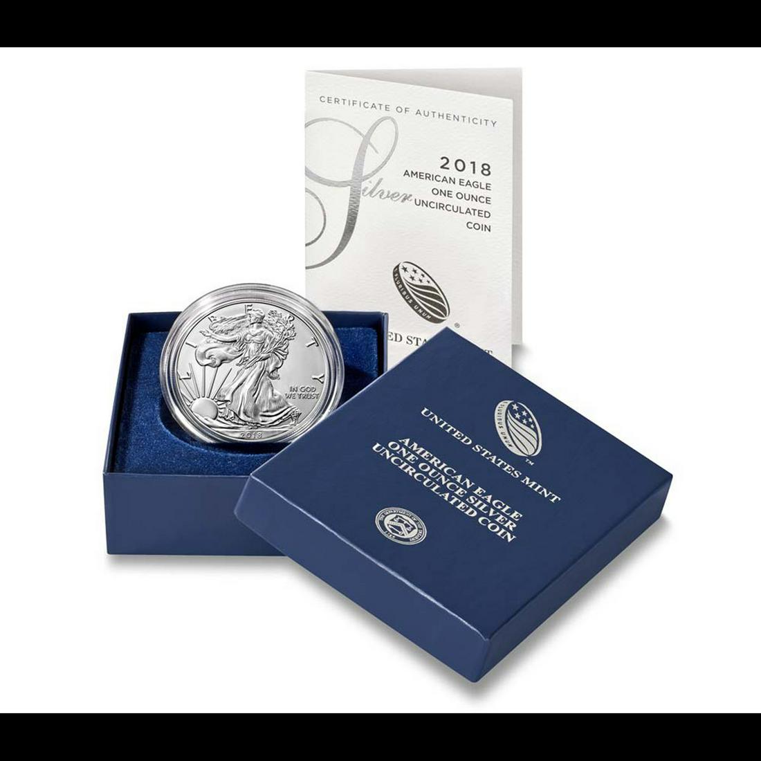 2018 American Eagle One Ounce Uncirculated Coin Silver Eagle Dollar 1 (1 of 1)