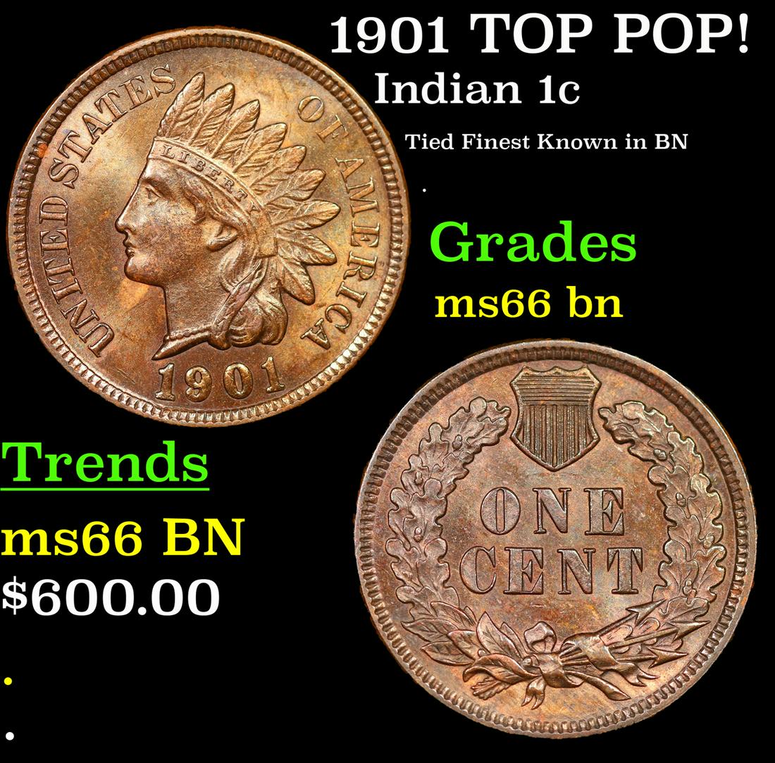 1901 Indian Cent TOP POP! 1c Graded ms66 bn By SEGS (1 of 5)