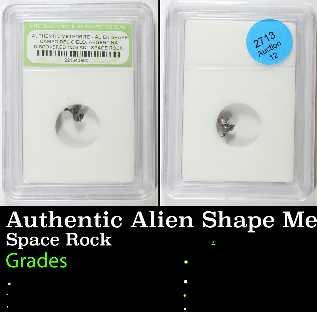 Authentic Alien Shape Meteorite Space Rock Campo Del Cielo Argentina, Discovered 1576 AD Graded By: Authentic Alien Shape Meteorite Space Rock Campo Del Cielo Argentina, Discovered 1576 AD Graded By INB.
