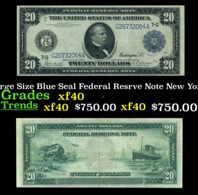 1914 $20 Large Size Blue Seal Federal Resrve Note New York, NY Grades xf FR-971