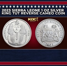Charlie Brown Kite Eating Tree Peanuts Style - 1 oz Silver Round Round