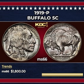 1919-p Buffalo Nickel 5c ms66 SEGS