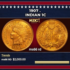 1907 Indian Cent . 1c ms66 rd SEGS