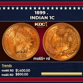 1899 Indian Cent . 1c ms65+ rd SEGS