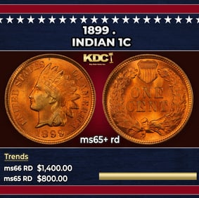 1899 Indian Cent . 1c ms65+ rd SEGS
