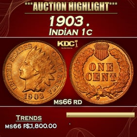 1903 Indian Cent . 1c ms66 rd SEGS