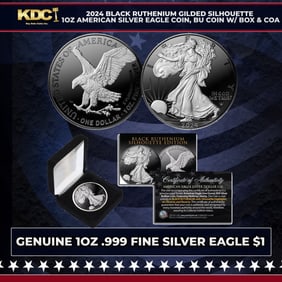 2024 Black Ruthenium Gilded Silhouette 1oz American Silver Eagle Coin, BU Coin w/ Box & COA Other