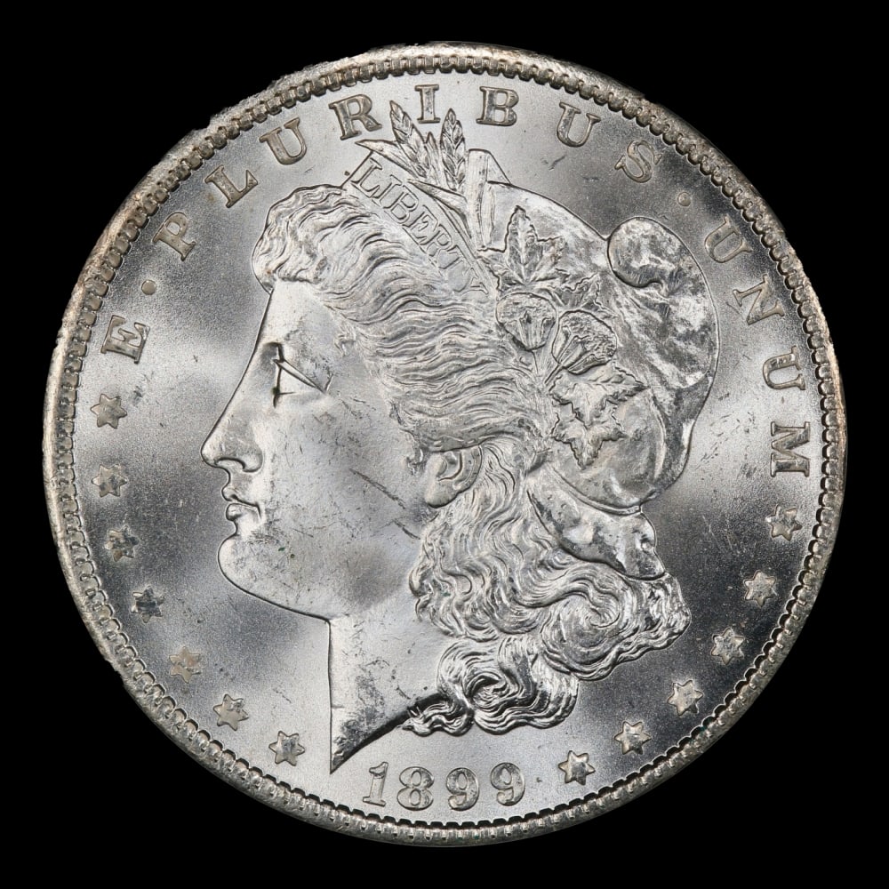 1899-o Morgan Dollar 1 Grades ms66 SEGS: 1899-o Morgan Dollar 1 Grades ms66 SEGS. Historic precious metal trends is causing increased spot pricing by the day. On auctions with set openings, we are doing our best to have items priced at their