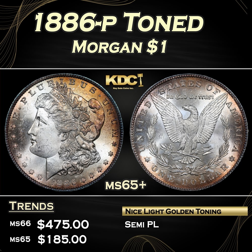 1886-p Morgan Dollar Toned $1 Grades ms65+: 1886-p Toned Morgan Dollar $1 Grades ms65+. 0 Historic precious metal trends is causing increased spot pricing by the day. On auctions with set openings, we are doing our best to have items priced at