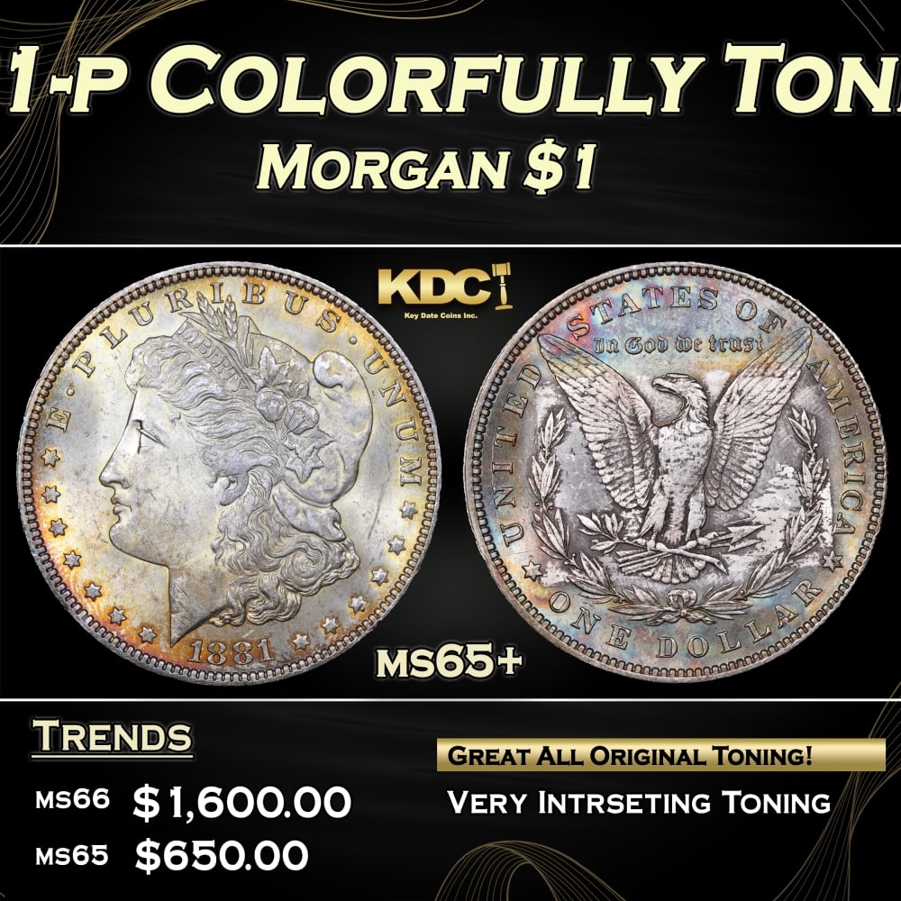 1881-p Morgan Dollar Colorfully Toned $1 ms65+ SEGS: 1881-p Colorfully Toned Morgan Dollar $1 ms65+ SEGS. 0 Historic precious metal trends is causing increased spot pricing by the day. On auctions with set openings, we are doing our best to have items p