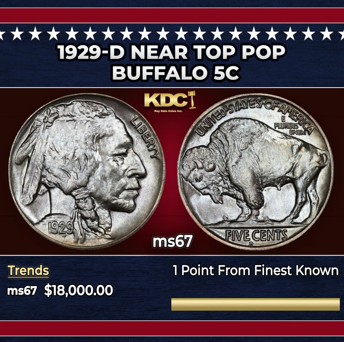 1929-d Buffalo Nickel Near Top Pop 5c ms67 SEGS: 1929-d Near Top Pop Buffalo Nickel 5c ms67 SEGS. Historic precious metal trends is causing increased spot pricing by the day. On auctions with set openings, we are doing our best to have items priced