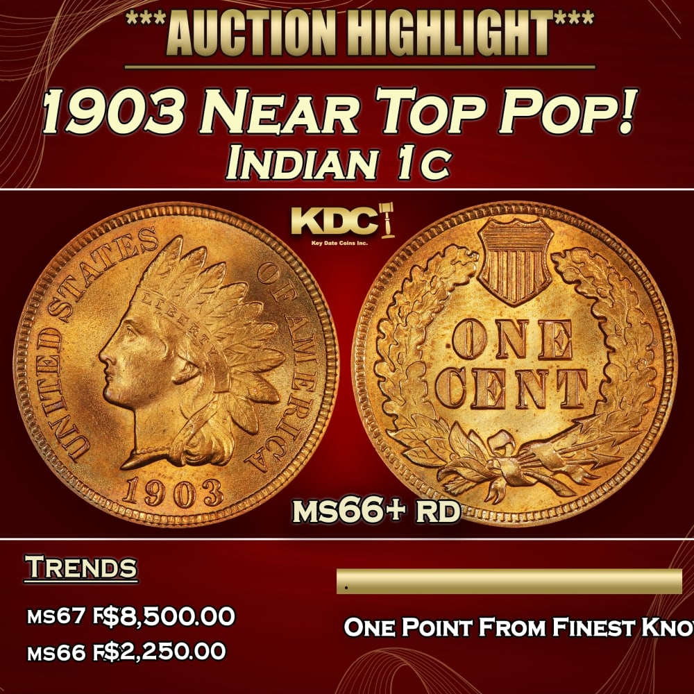 1903 Indian Cent Near Top Pop! 1c ms66+ rd SEGS: 1903 Near Top Pop! Indian Cent 1c ms66+ rd SEGS. 0