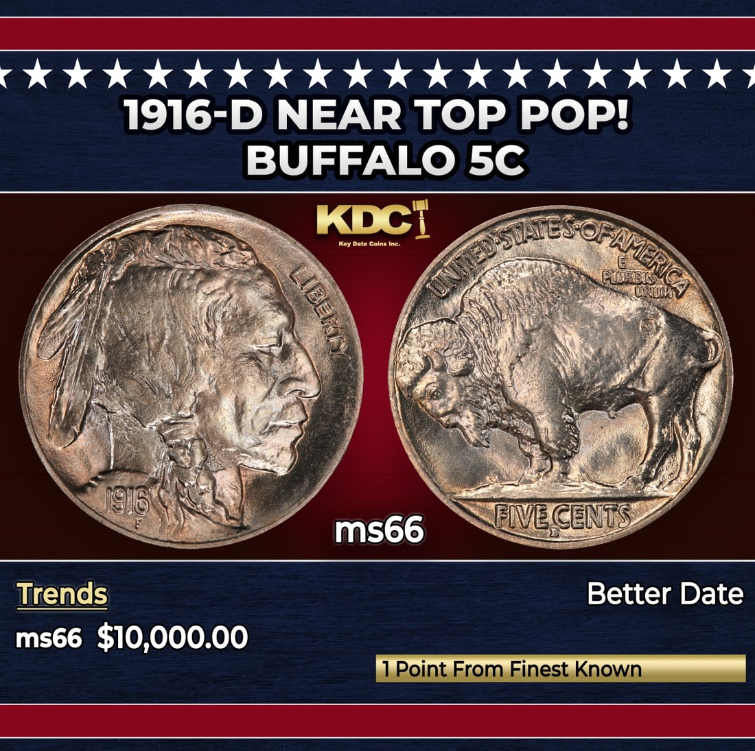 1916-d Buffalo Nickel Near Top Pop! 5c ms66 SEGS: 1916-d Near Top Pop! Buffalo Nickel 5c ms66 SEGS. Historic precious metal trends is causing increased spot pricing by the day. On auctions with set openings, we are doing our best to have items priced