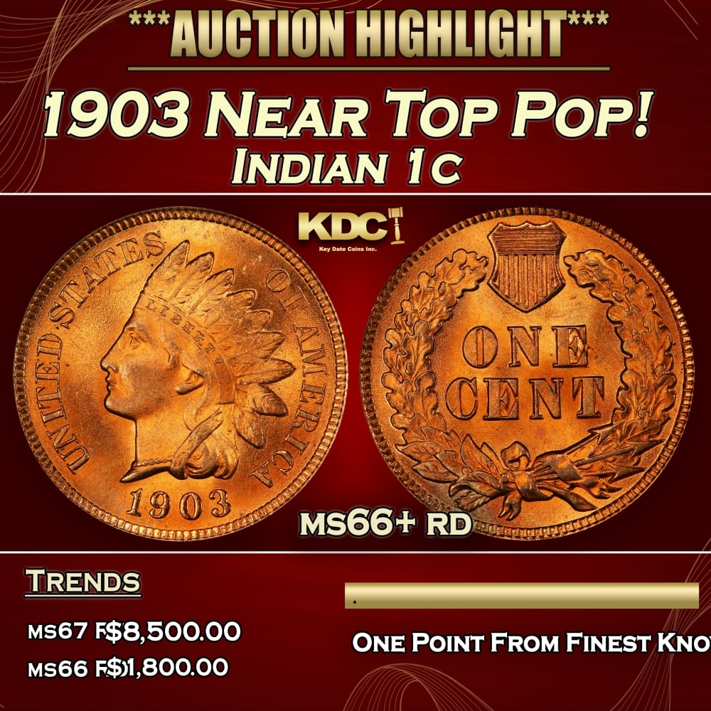 1903 Indian Cent Near Top Pop! 1c ms66+ rd SEGS: 1903 Near Top Pop! Indian Cent 1c ms66+ rd SEGS. 0