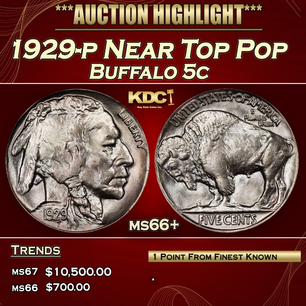 1929-p Buffalo Nickel Near Top Pop 5c ms66+ SEGS (1 of 3)