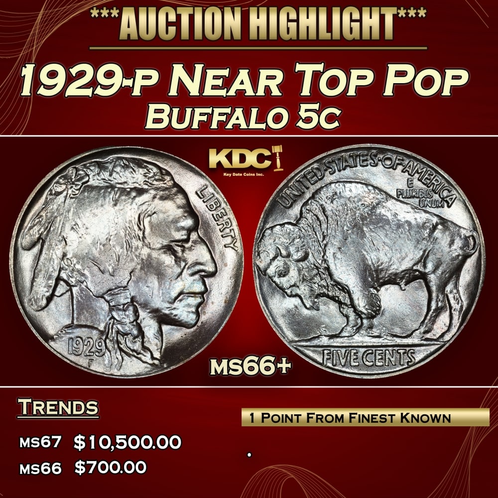 1929-p Buffalo Nickel Near Top Pop 5c ms66+ SEGS (1 of 3)