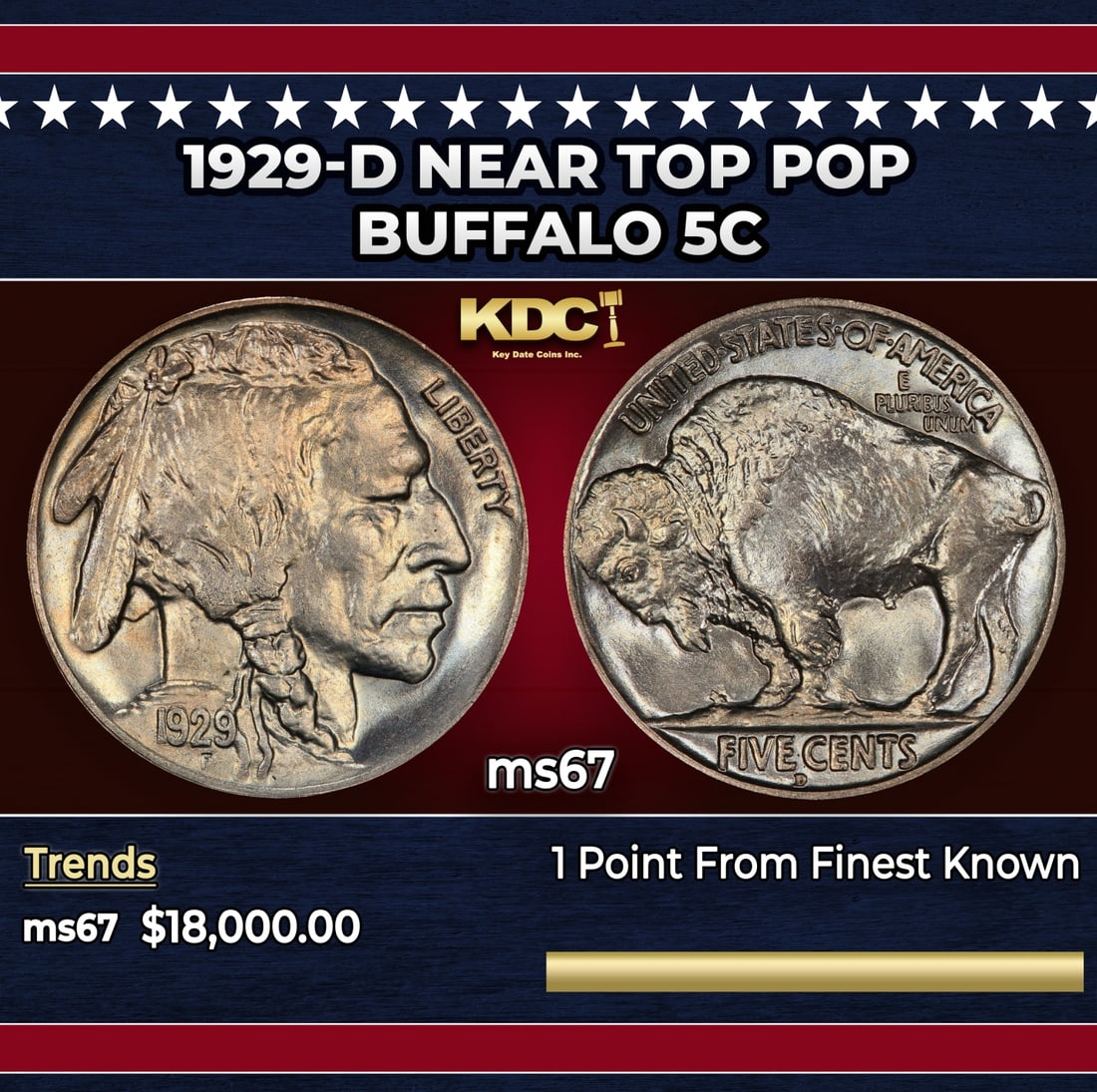 1929-d Buffalo Nickel Near Top Pop 5c ms67 SEGS: 1929-d Near Top Pop Buffalo Nickel 5c ms67 SEGS. Historic precious metal trends is causing increased spot pricing by the day. On auctions with set openings, we are doing our best to have items priced 