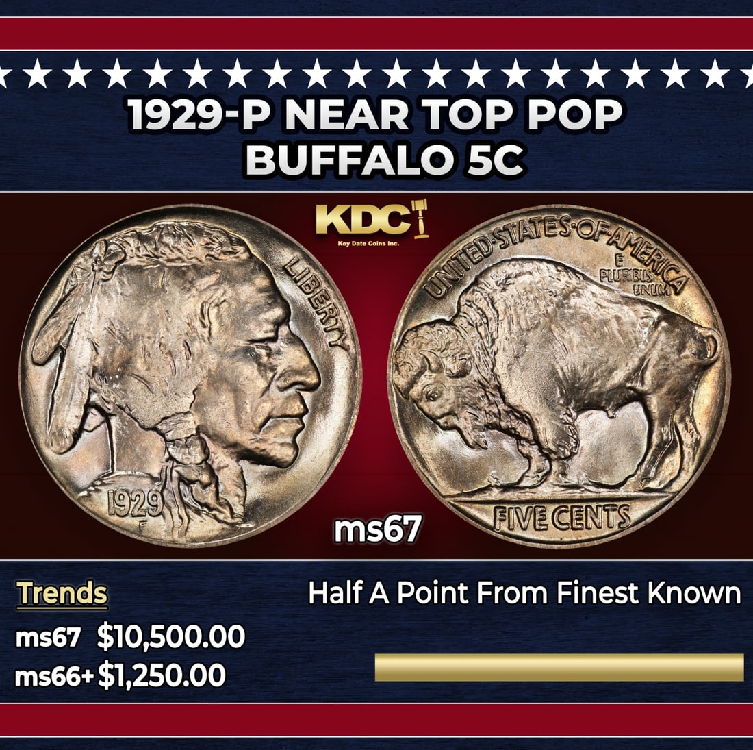 1929-p Buffalo Nickel Near Top Pop 5c ms67 SEGS: 1929-p Near Top Pop Buffalo Nickel 5c ms67 SEGS. Historic precious metal trends is causing increased spot pricing by the day. On auctions with set openings, we are doing our best to have items priced 