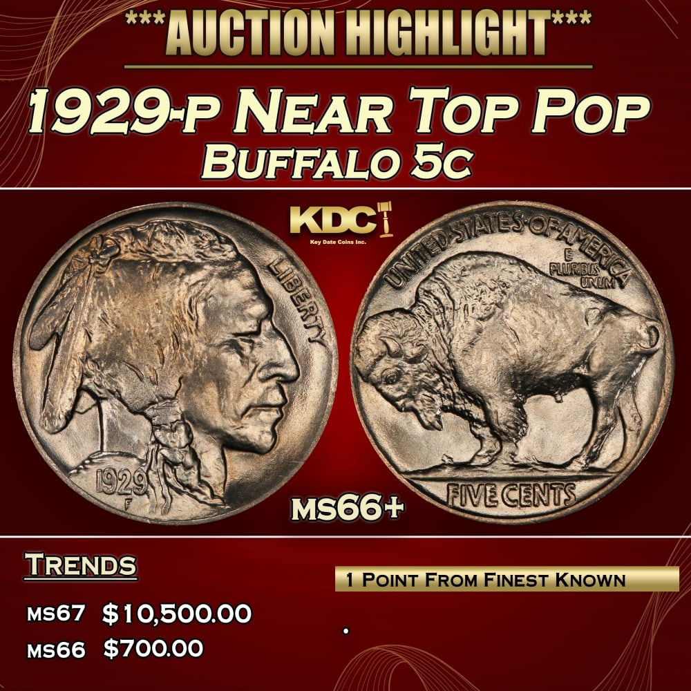 1929-p Buffalo Nickel Near Top Pop 5c ms66+ SEGS: 1929-p Near Top Pop Buffalo Nickel 5c ms66+ SEGS. 0