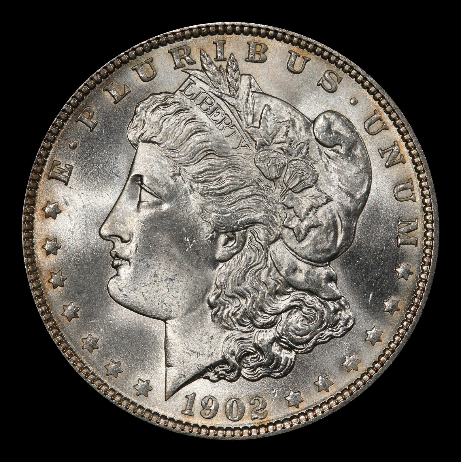 1902-p Morgan Dollar $1 Grades ms64+ - 2