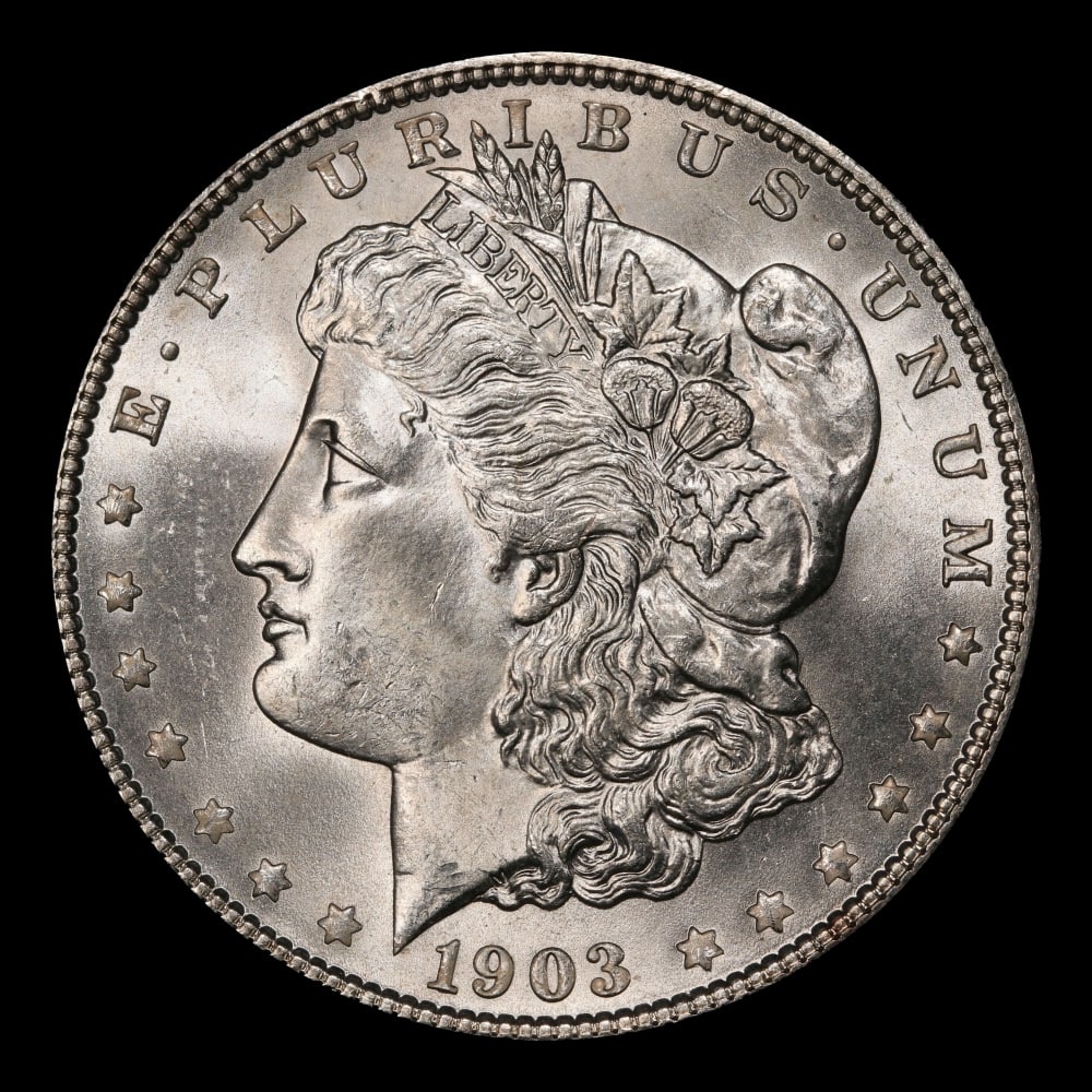 1903-p Morgan Dollar $1 Grades ms65 - 2
