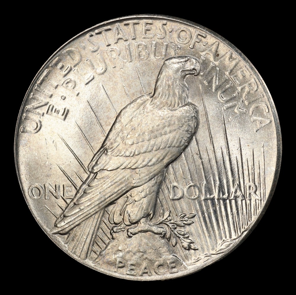 1926-p Peace Dollar $1 Grades ms65 - 3