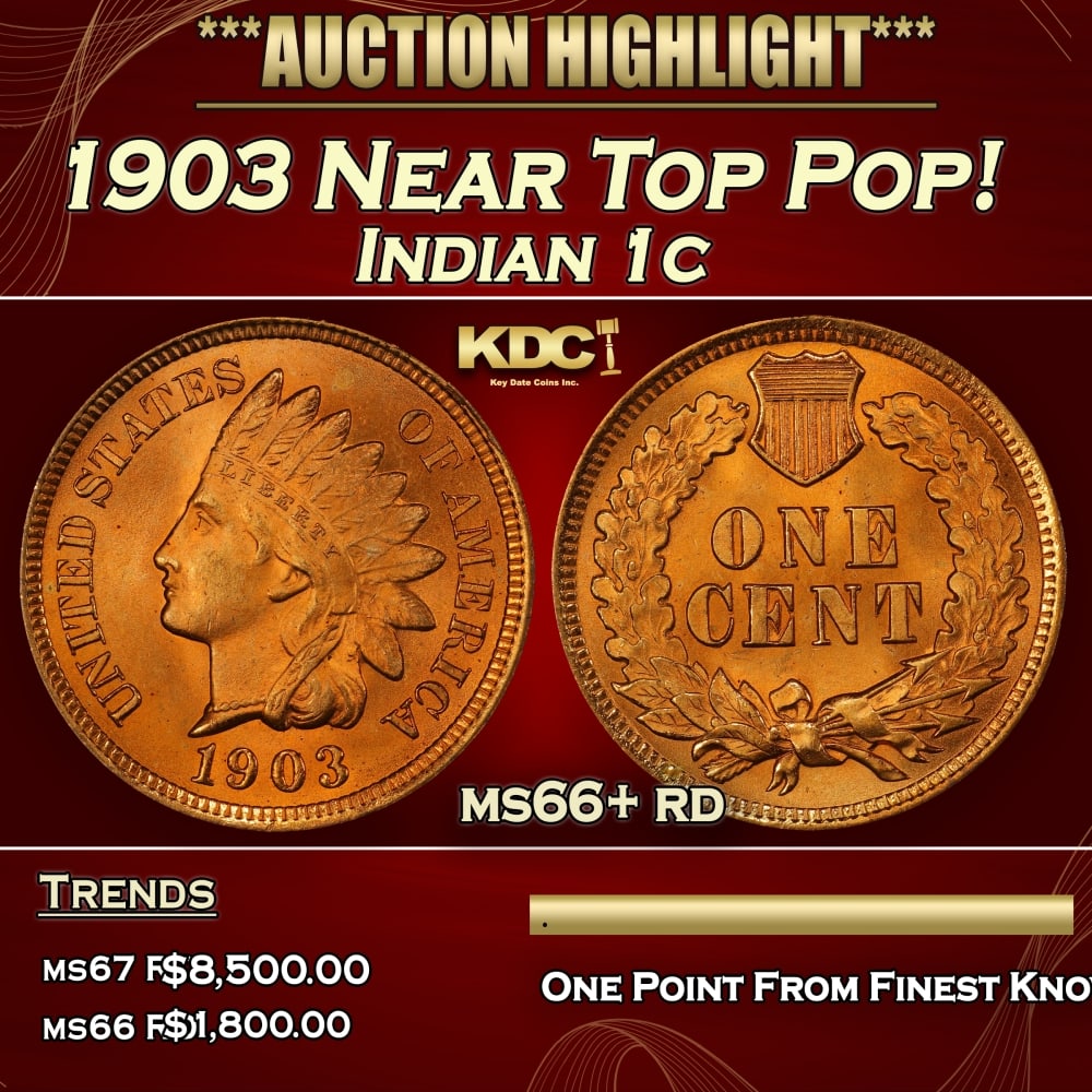 1903 Indian Cent Near Top Pop! 1c ms66+ rd SEGS: 1903 Near Top Pop! Indian Cent 1c ms66+ rd SEGS. 0