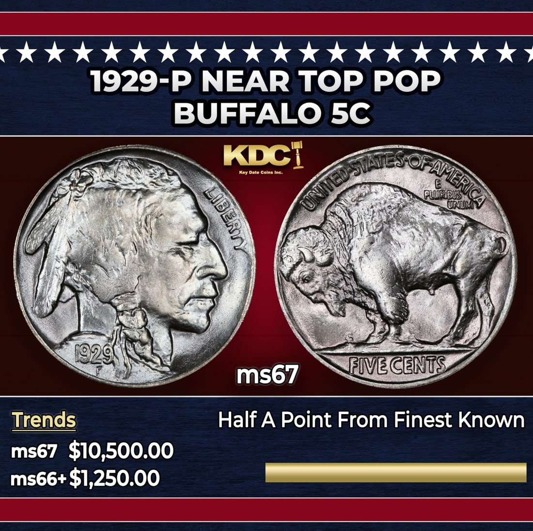 1929-p Buffalo Nickel Near Top Pop 5c ms67 SEGS: 1929-p Near Top Pop Buffalo Nickel 5c ms67 SEGS. Historic precious metal trends is causing increased spot pricing by the day. On auctions with set openings, we are doing our best to have items priced 