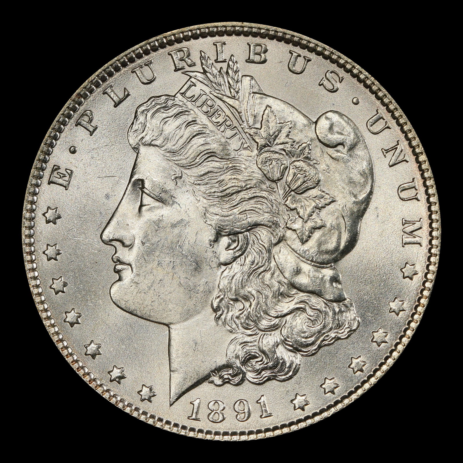 1891-p Morgan Dollar $1 Grades ms64 - 2