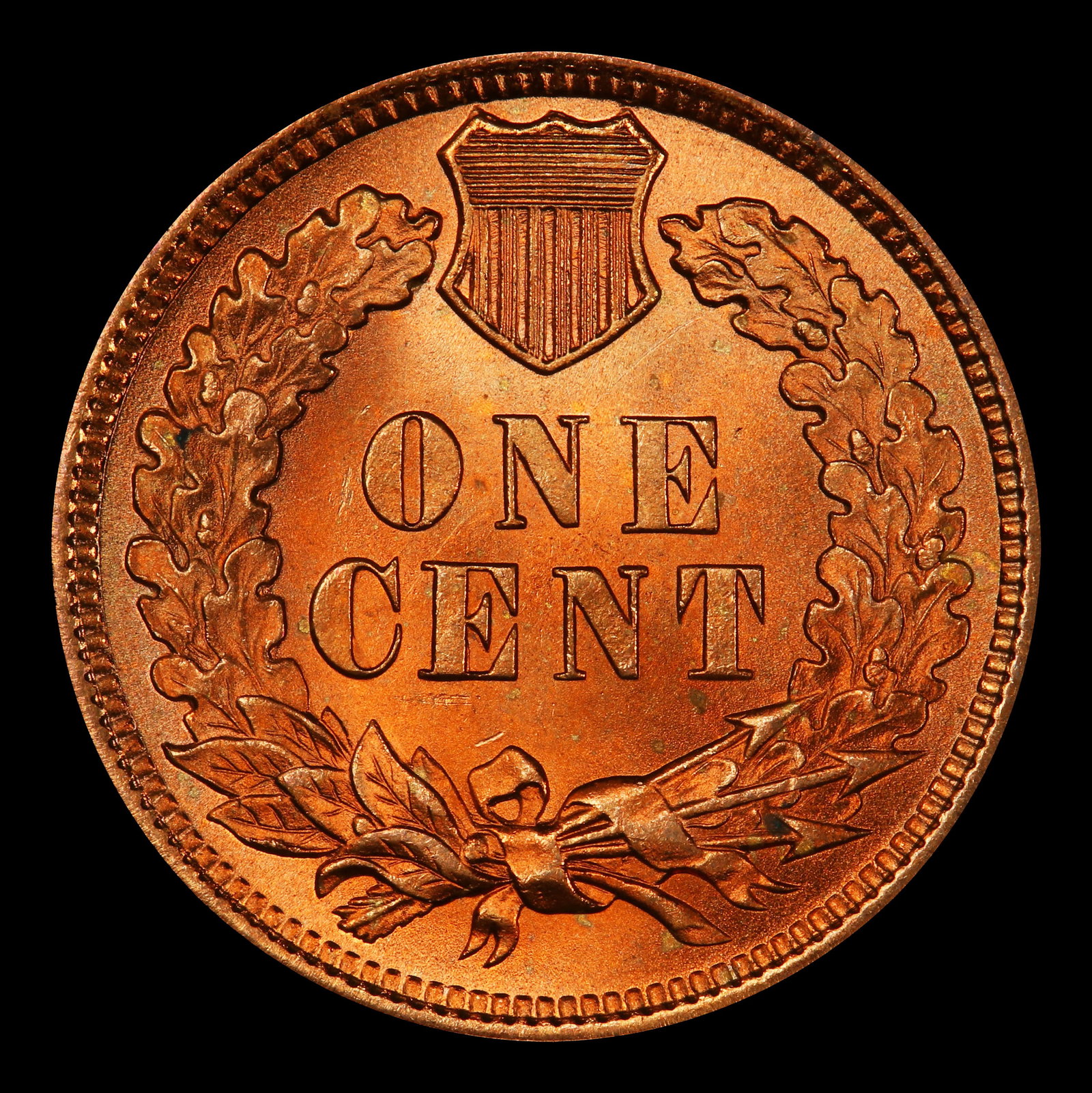 1899 Indian Cent 1c ms66+ rd SEGS - 3