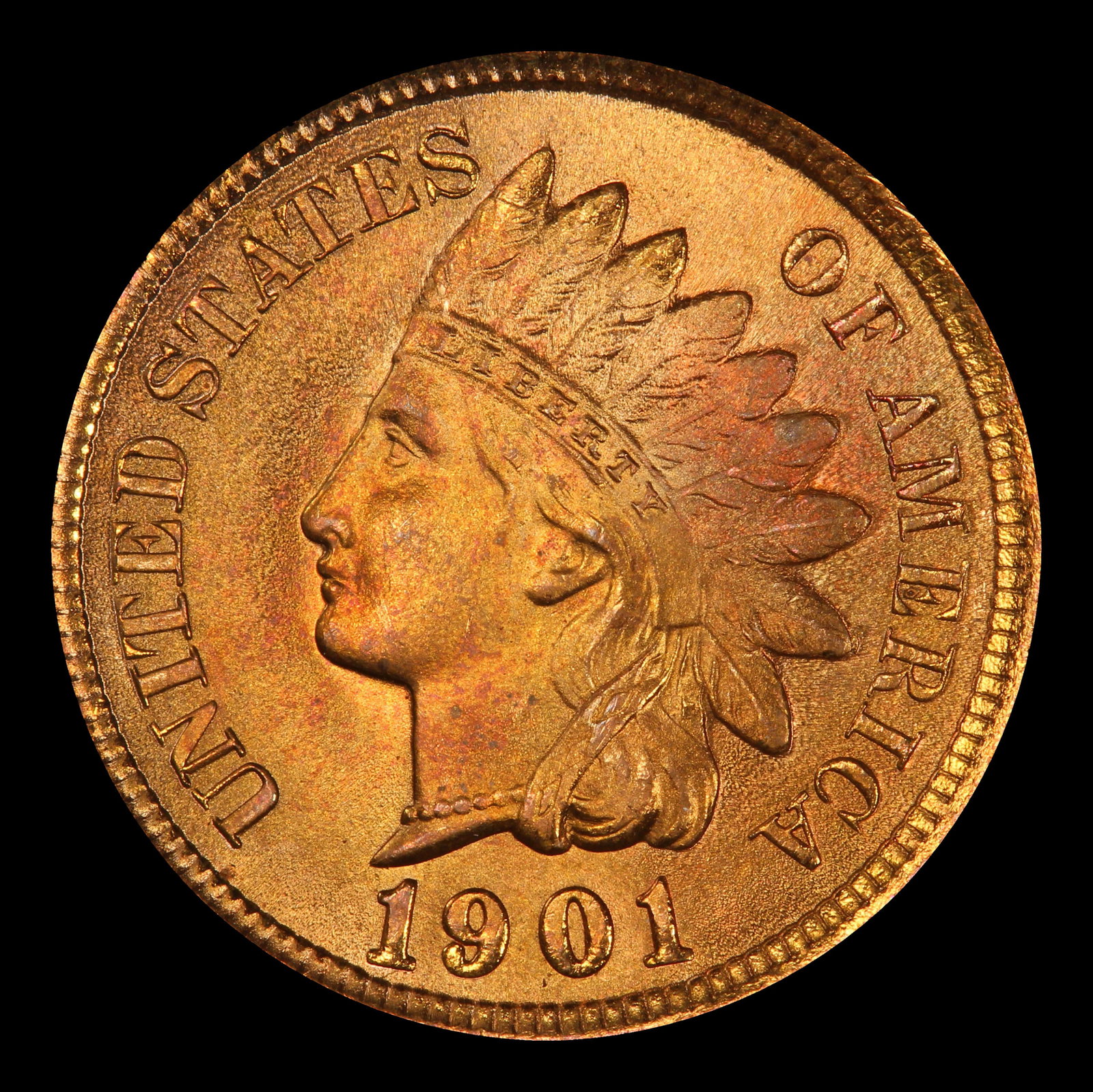 1901 Indian Cent Near Top Pop! 1c ms66+ rd SEGS - 2