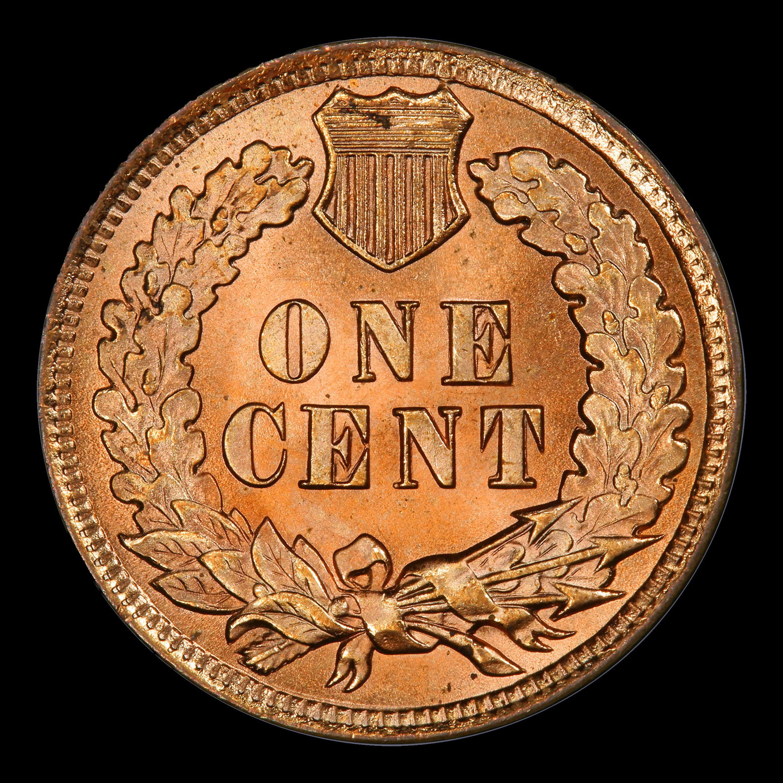 1902 Indian Cent 1c ms66 rd SEGS - 3