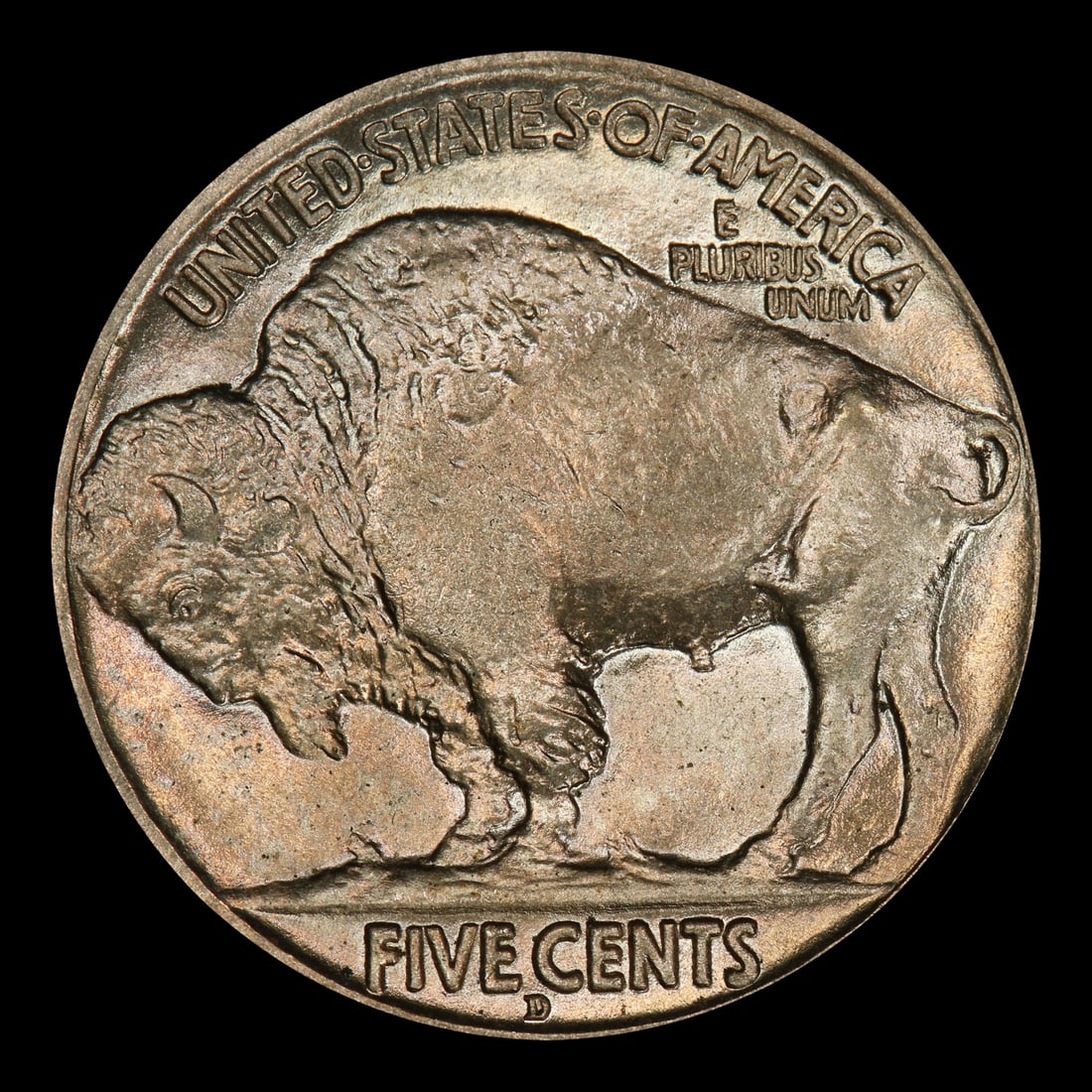1913-d Ty II Buffalo Nickel 5c ms65 SEGS - 3