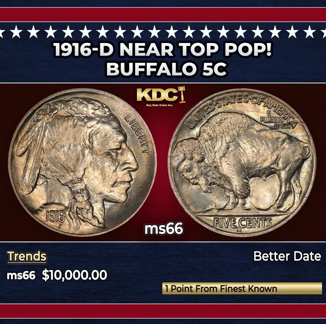 1916-d Buffalo Nickel Near Top Pop! 5c ms66 SEGS: 1916-d Near Top Pop! Buffalo Nickel 5c ms66 SEGS.