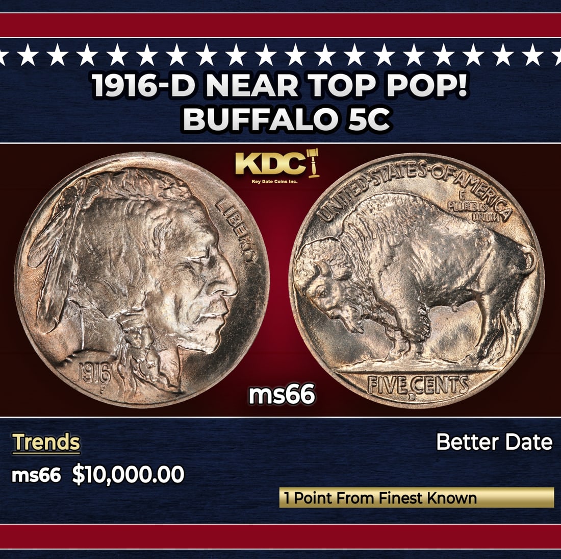 1916-d Buffalo Nickel Near Top Pop! 5c ms66 SEGS: 1916-d Near Top Pop! Buffalo Nickel 5c ms66 SEGS.