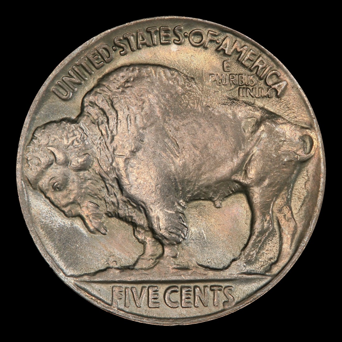 1921-p Buffalo Nickel 5c ms65 SEGS - 3