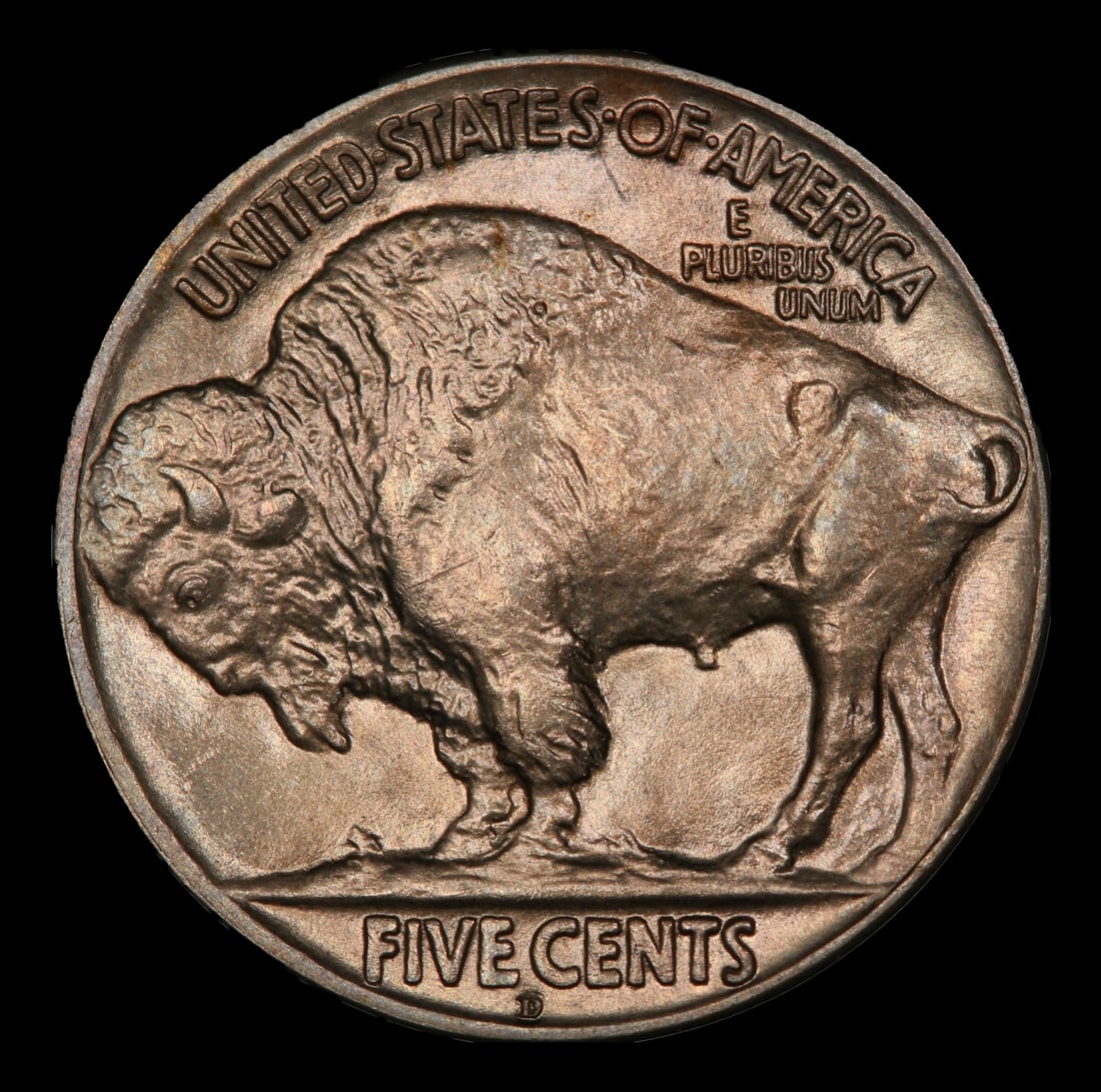 1925-d Buffalo Nickel 5c ms65 SEGS - 3